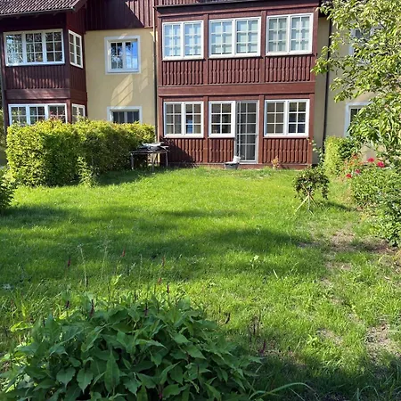 Gartenwohnung Appartement *
